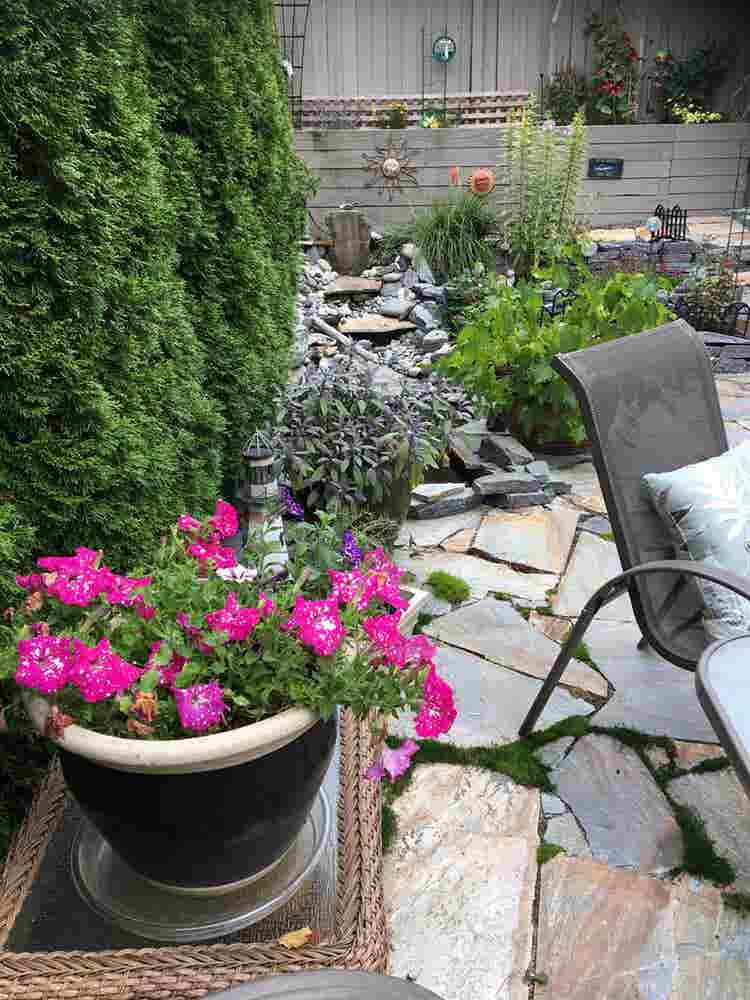 Two bedroom garden suite available
