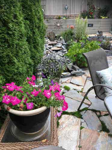 Two bedroom garden suite available