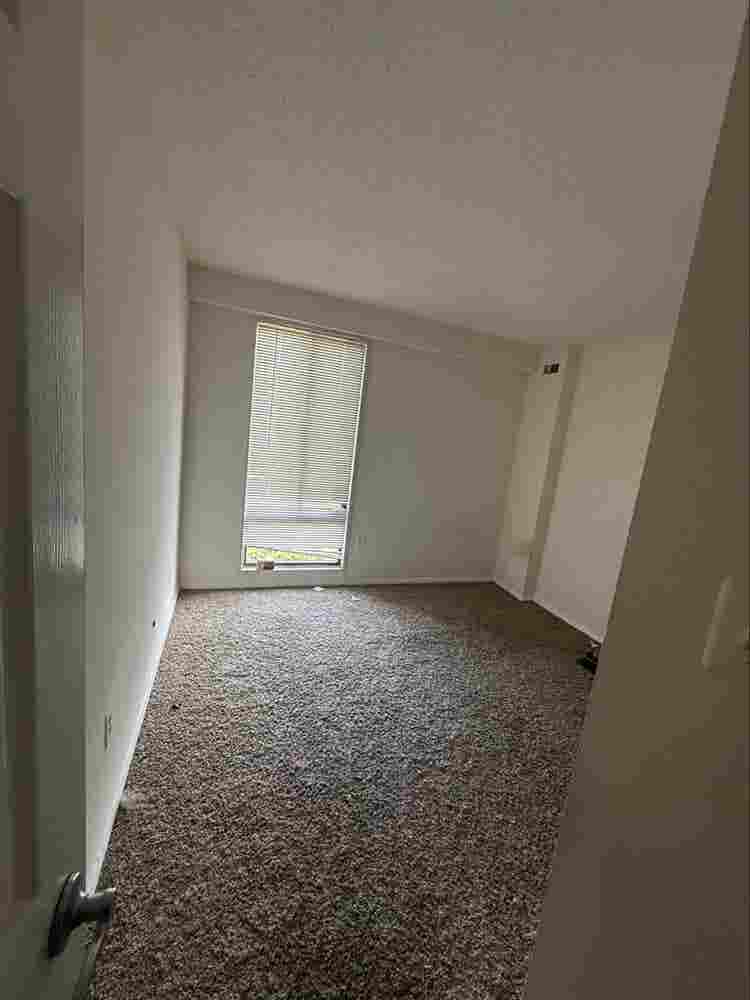 Need someone for 2nd bedroom