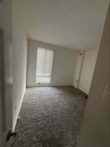 Need someone for 2nd bedroom
