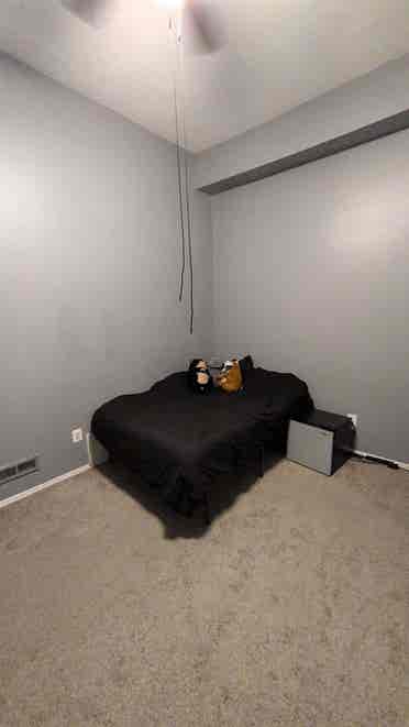 Two Available Rooms in Little Italy