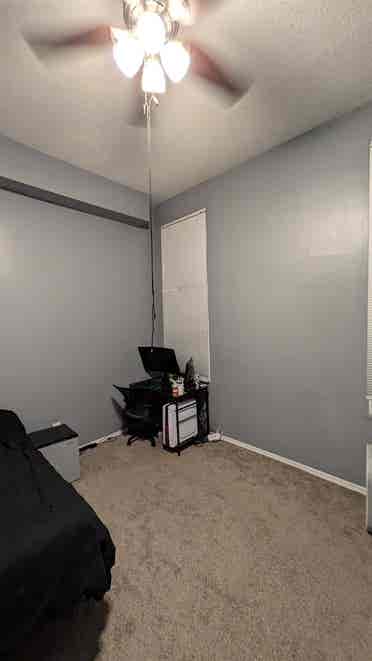 Two Available Rooms in Little Italy