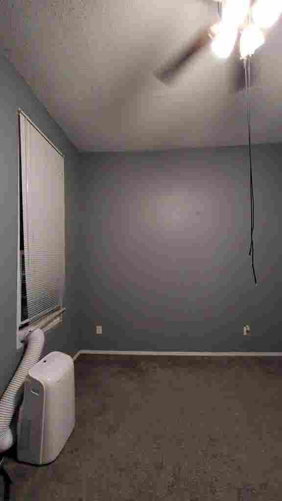 Large Room in Little Italy