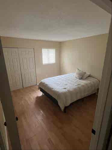 WP/Full sail, Rm in  Condo