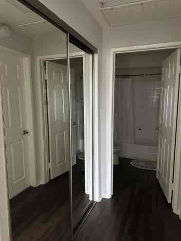 Subleasing Room. Female Only!
