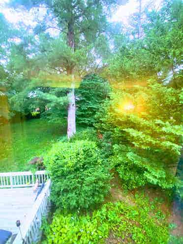 Room  High-End Home  Gaithersburg
