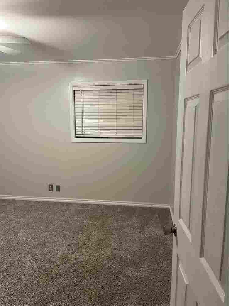 Looking for Roomate!