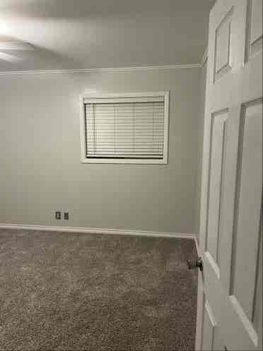 Looking for Roomate!