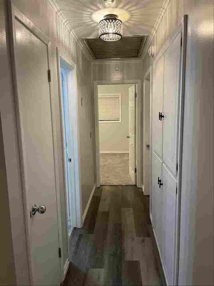Looking for Roomate!