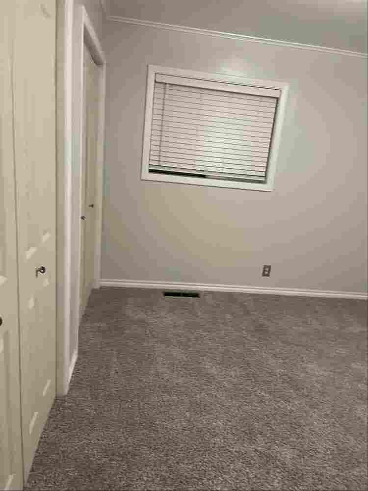 Looking for Roomate!