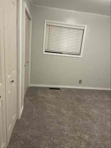 Looking for Roomate!