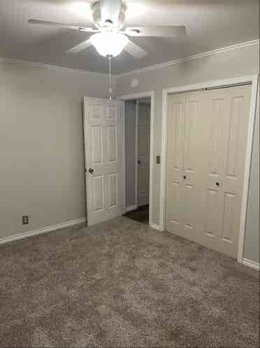 Looking for Roomate!
