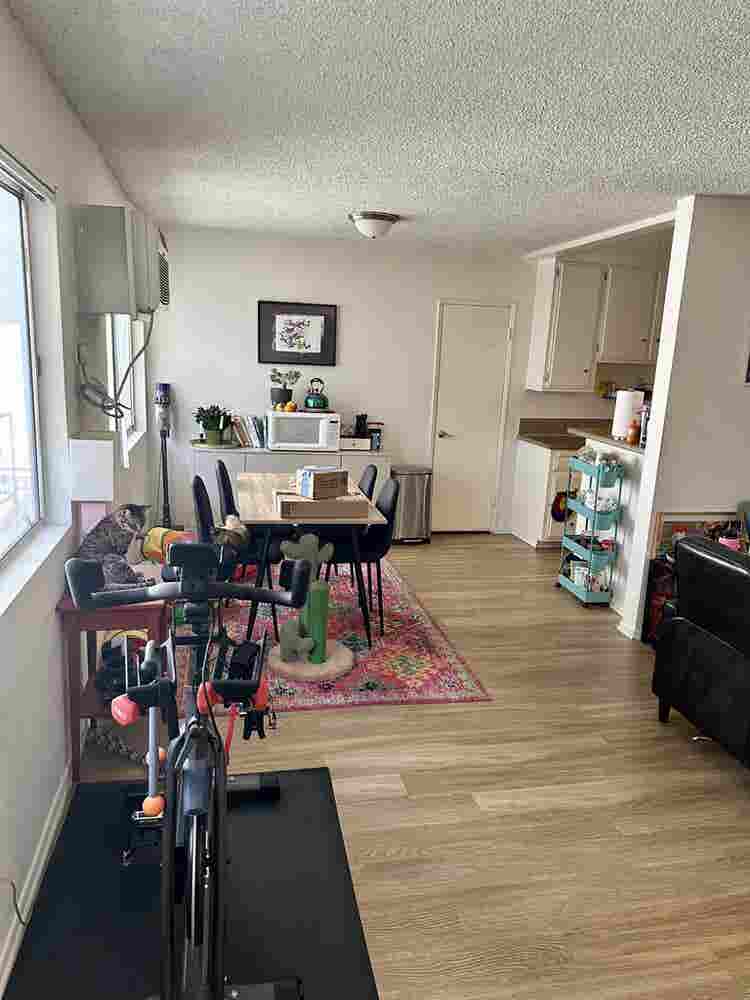 Private Room & bath available