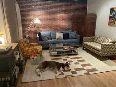 Room in friendly and clean house