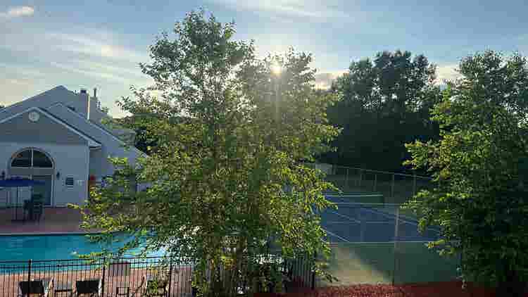 Room for Lease – Vegetarian Only