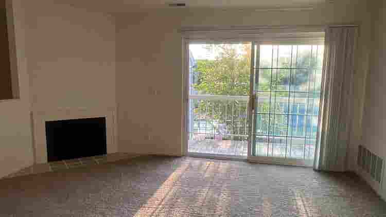 Room for Lease – Vegetarian Only