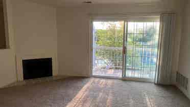 Room for Lease – Vegetarian Only