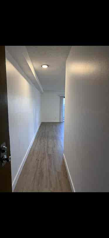 Spacious stdio a block from the bay