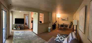 Looking for roommate!