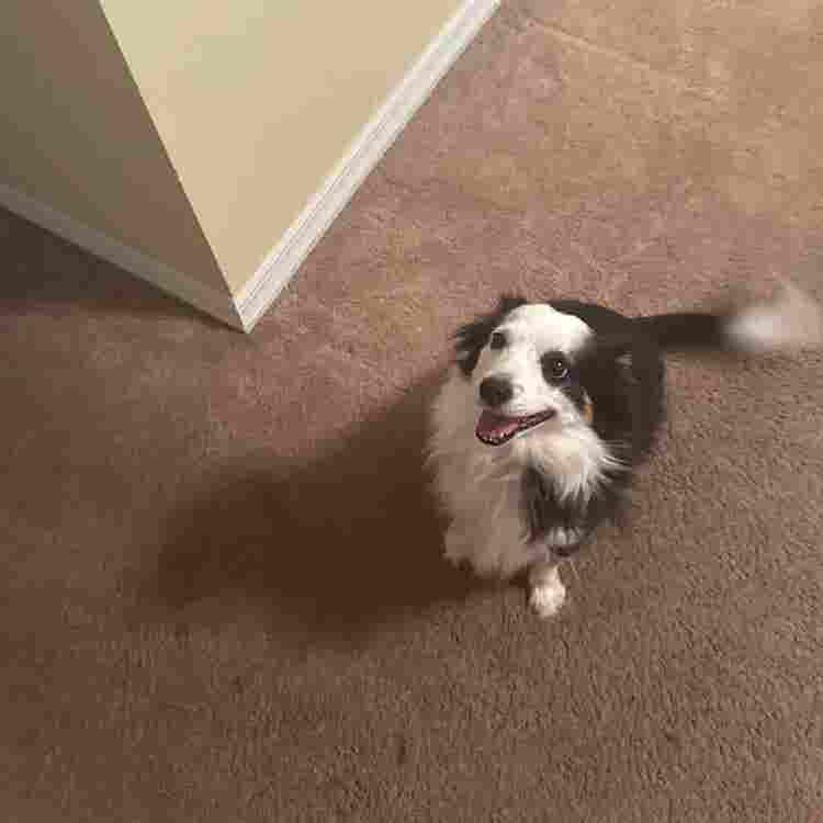 Seeking a roommate