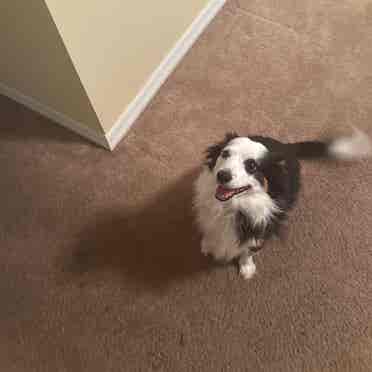 Seeking a roommate