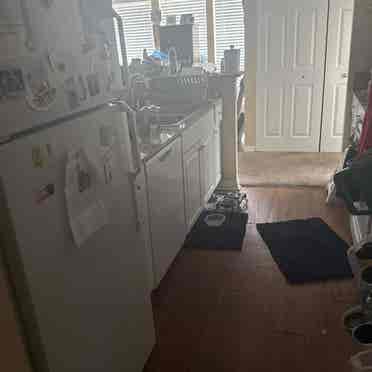 Seeking a roommate