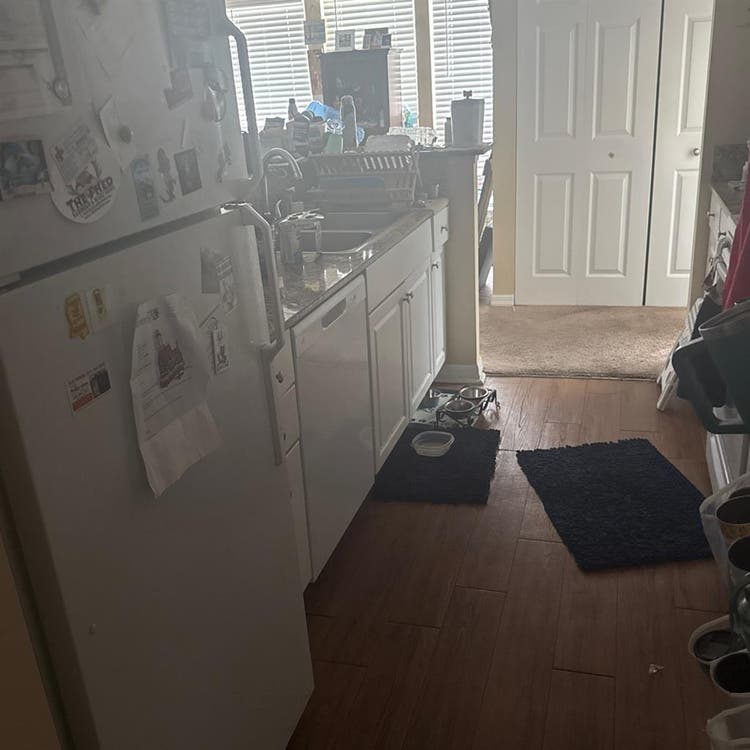 Seeking a roommate