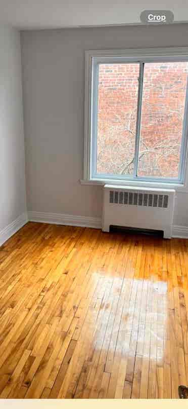 Room for rent in upper duplex