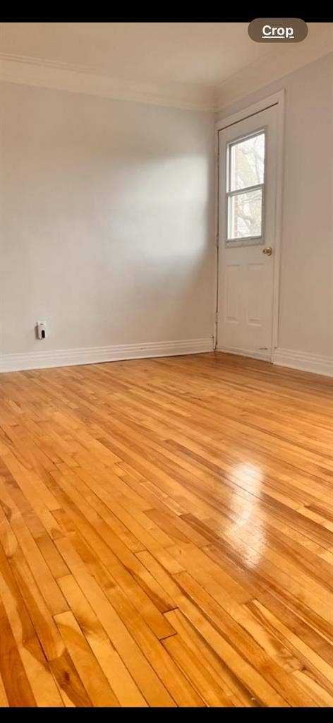 Room for rent in upper duplex