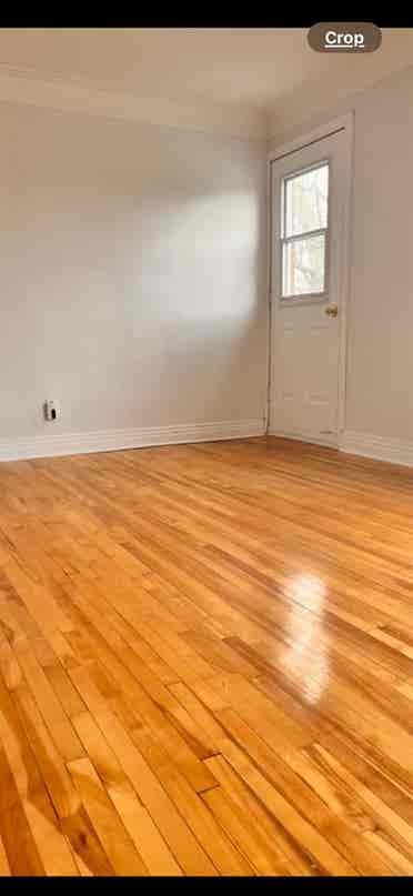 Room for rent in upper duplex