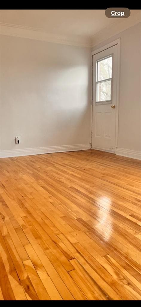 Room for rent in upper duplex