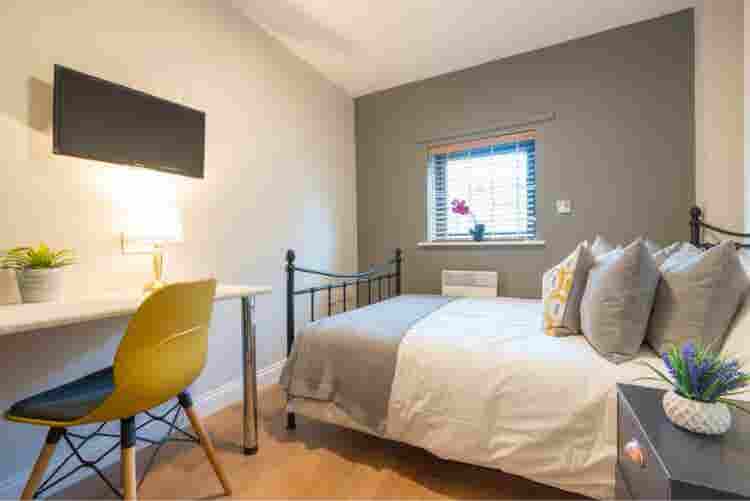 1 Room in a spacious 2 bedroom flat