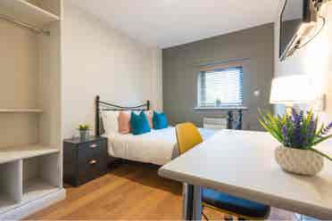 1 Room in a spacious 2 bedroom flat