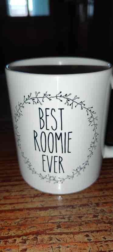 Pilsen for MALE roommate!