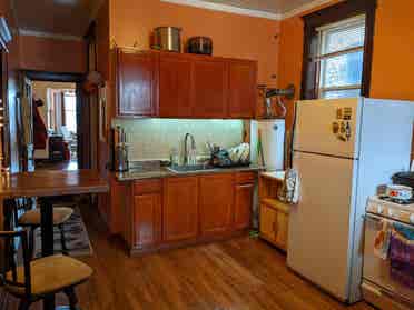 Pilsen for MALE roommate!