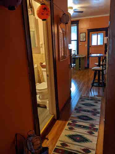 Pilsen for MALE roommate!