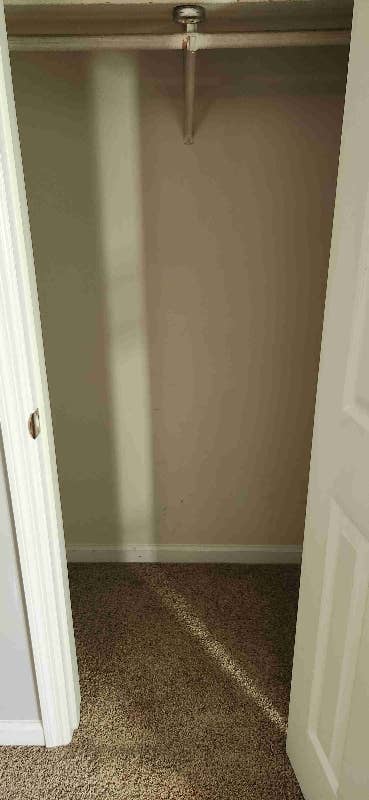 FEMALE ROOMMATE WANTED!