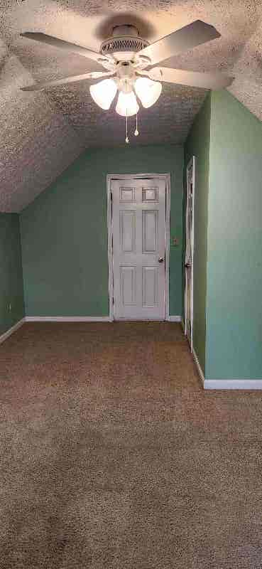 FEMALE ROOMMATE WANTED!