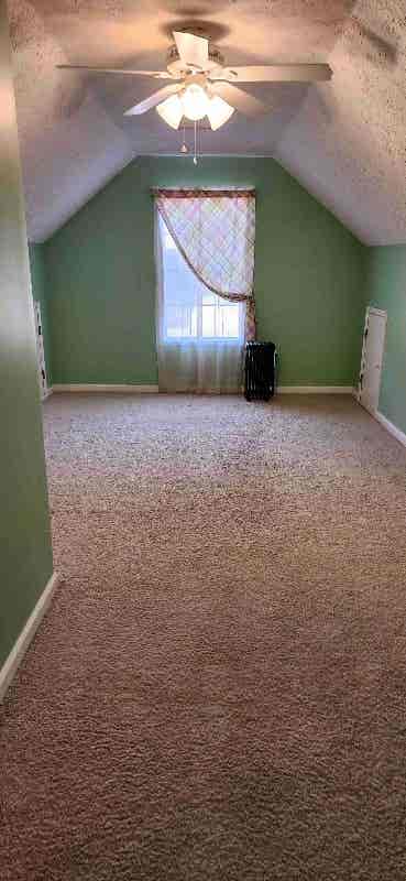 FEMALE ROOMMATE WANTED!