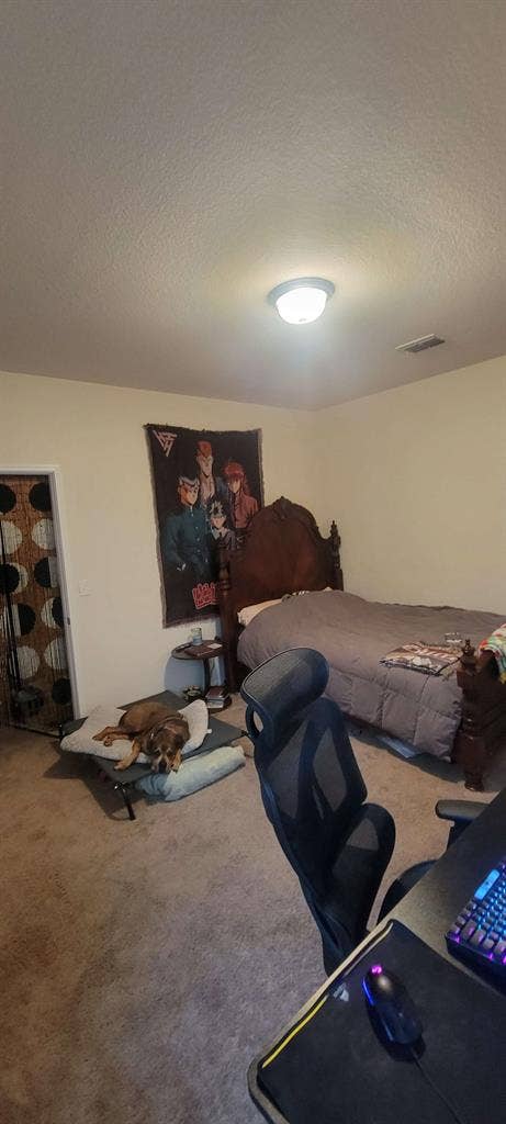Room Available South Austin