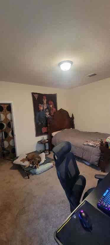 Room Available South Austin