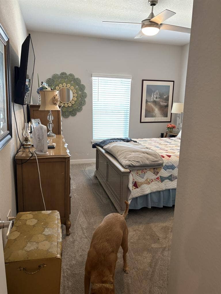 Avery luxury apartments one bedroom