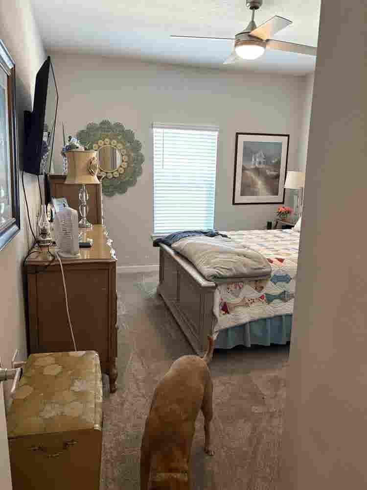 Avery luxury apartments one bedroom
