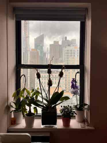 🔥Budgetfriendly in Midtown South🔥
