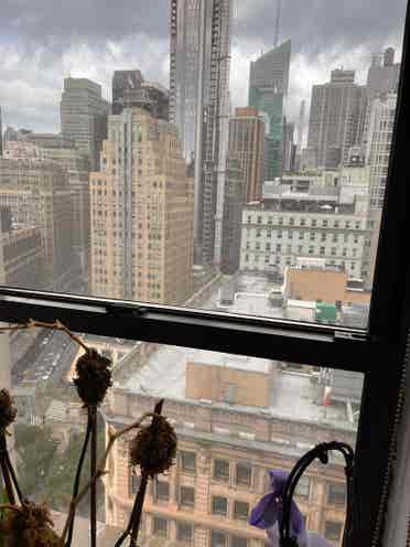 🔥Budgetfriendly in Midtown South🔥