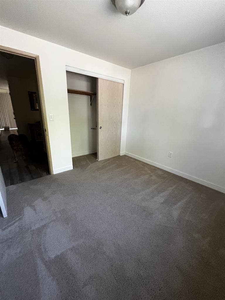 Room for rent in Newberg!