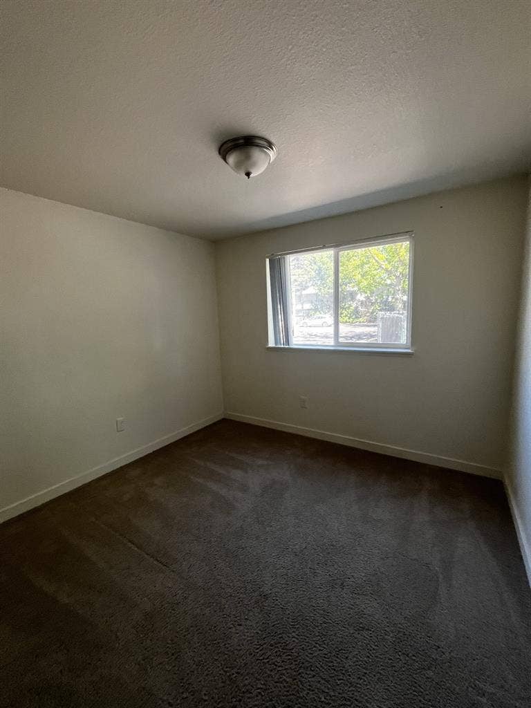 Room for rent in Newberg!