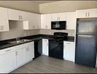 Roommate needed by September