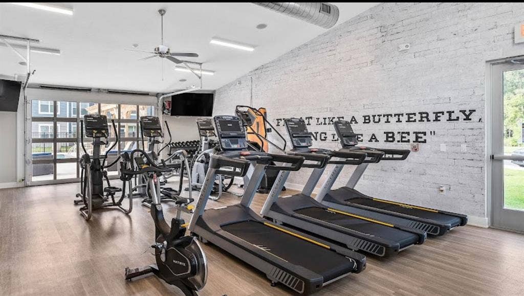 Roommate needed by September