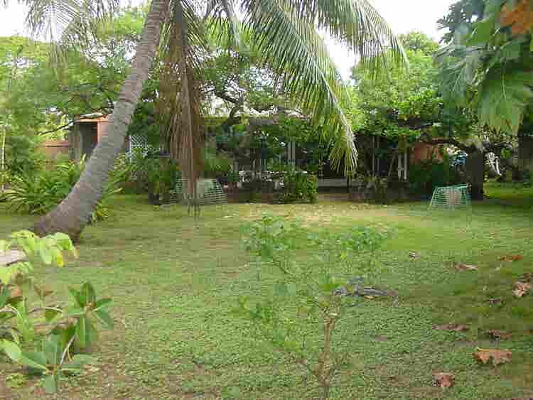 Breezy rm in 4 bdrm share for